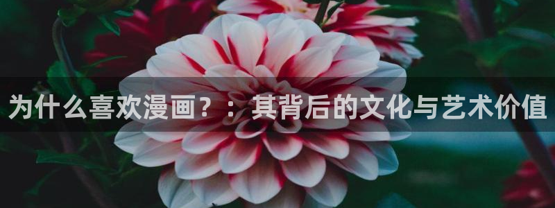 奇漫屋-免费漫画,漫画大全,免费在线看漫画的网站：为什么喜欢漫画？：其背后的文化与艺术价值
